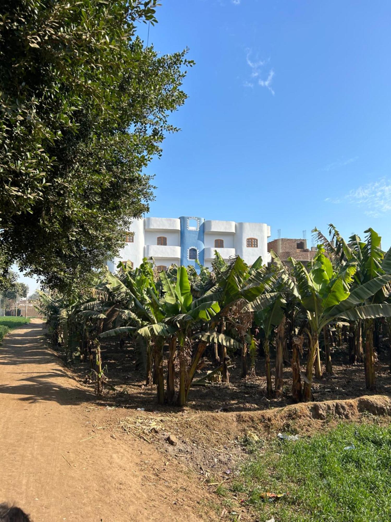 Lemon Tree Apartments Luxor Lel Agalta Kültér fotó