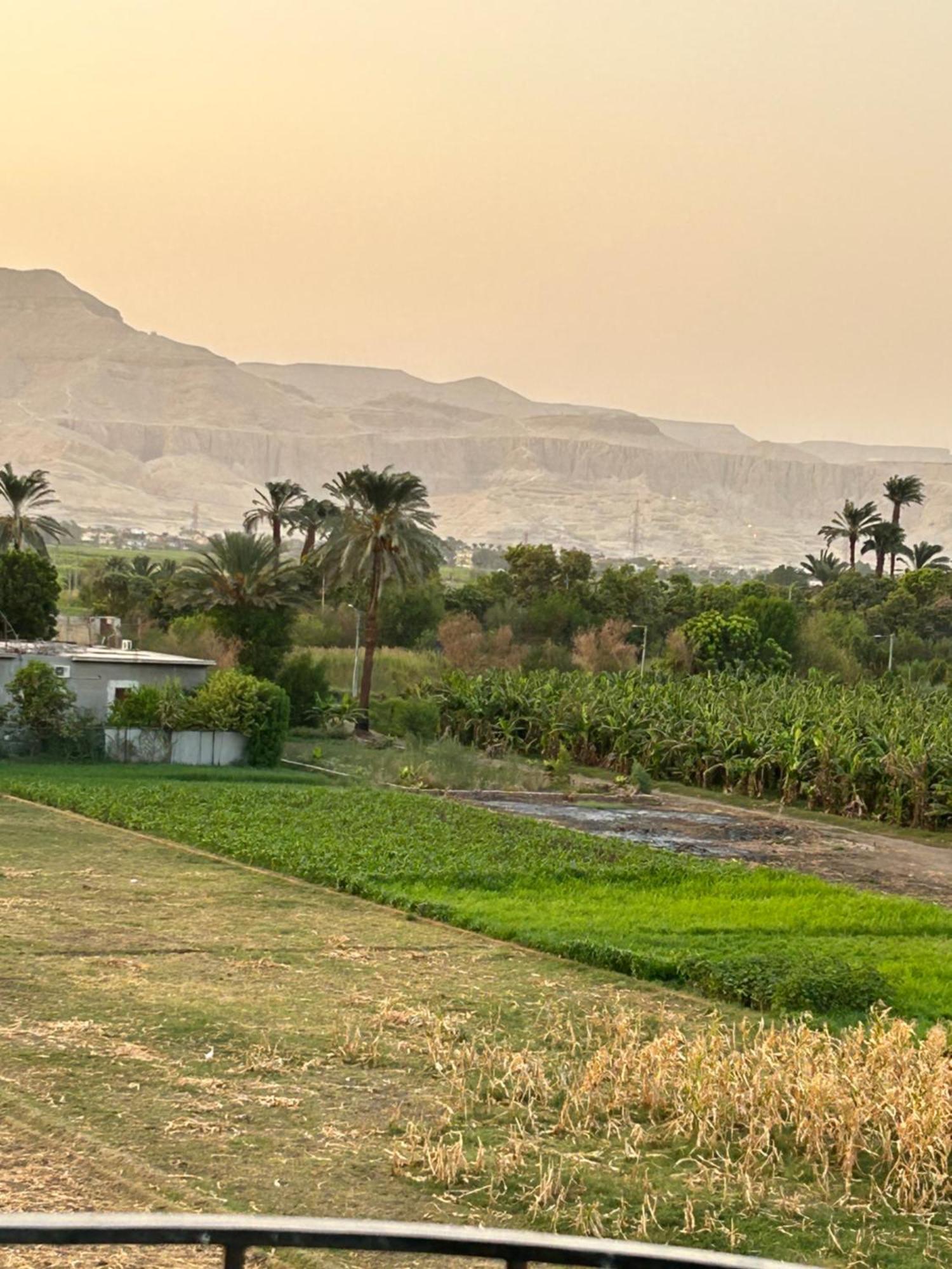 Lemon Tree Apartments Luxor Lel Agalta Kültér fotó
