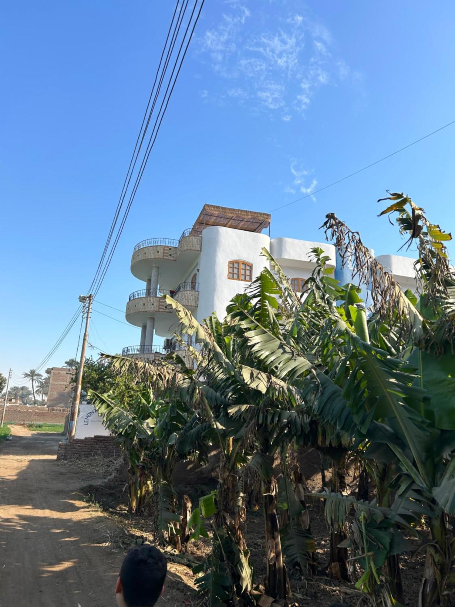 Lemon Tree Apartments Luxor Lel Agalta Kültér fotó