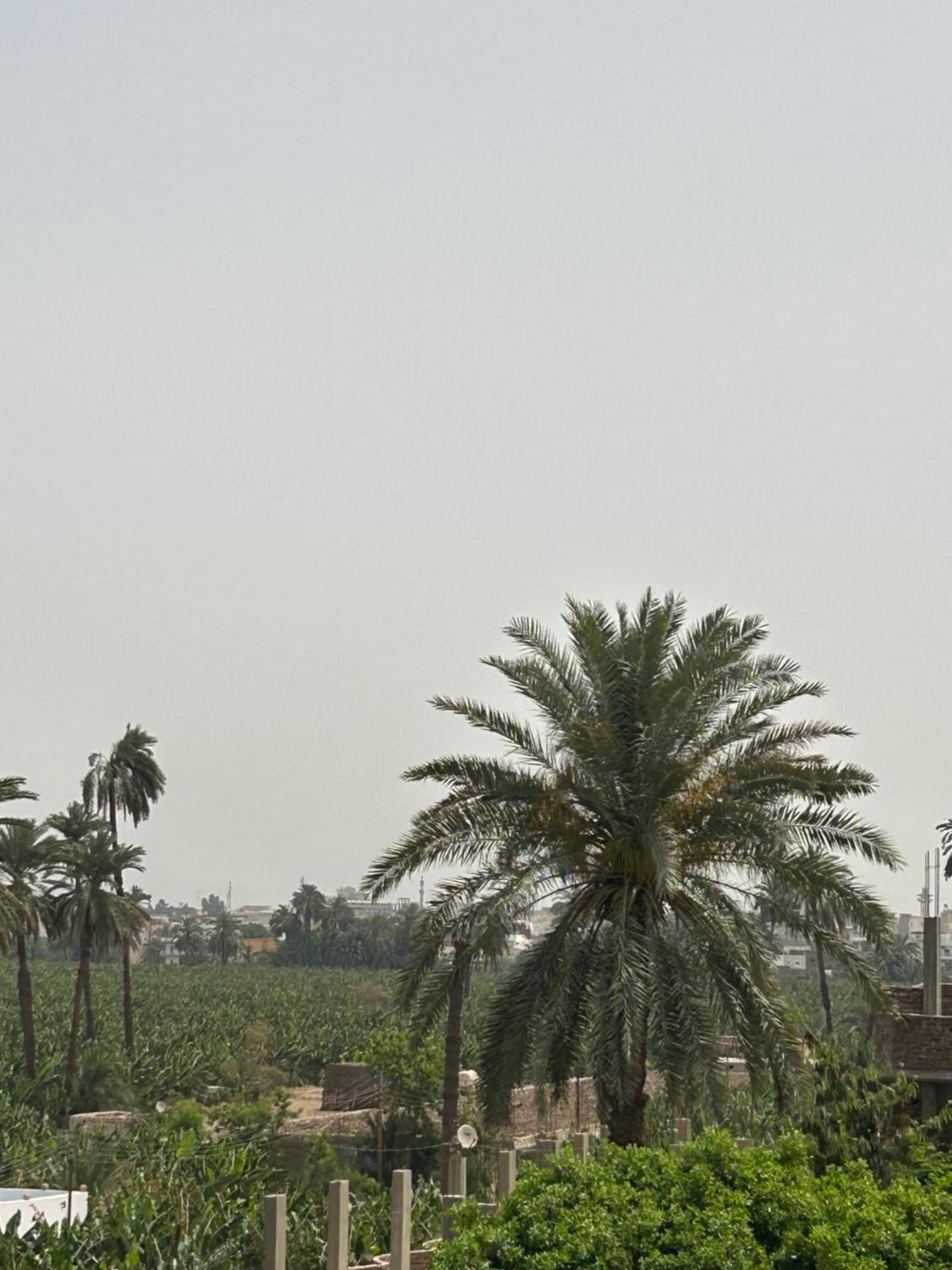 Lemon Tree Apartments Luxor Lel Agalta Kültér fotó